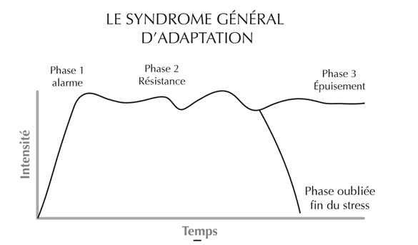 formation gestion du stress entreprise